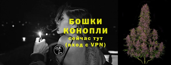 сатива Чита
