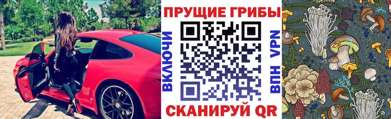 Купить где  Костерёво  Псилоцибиновые грибы Psilocybe 